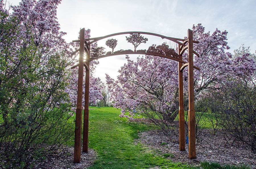 View from the arboretum